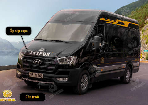 Skybus Limited - Solati Limosuine ghế VIP chỉnh điện 1