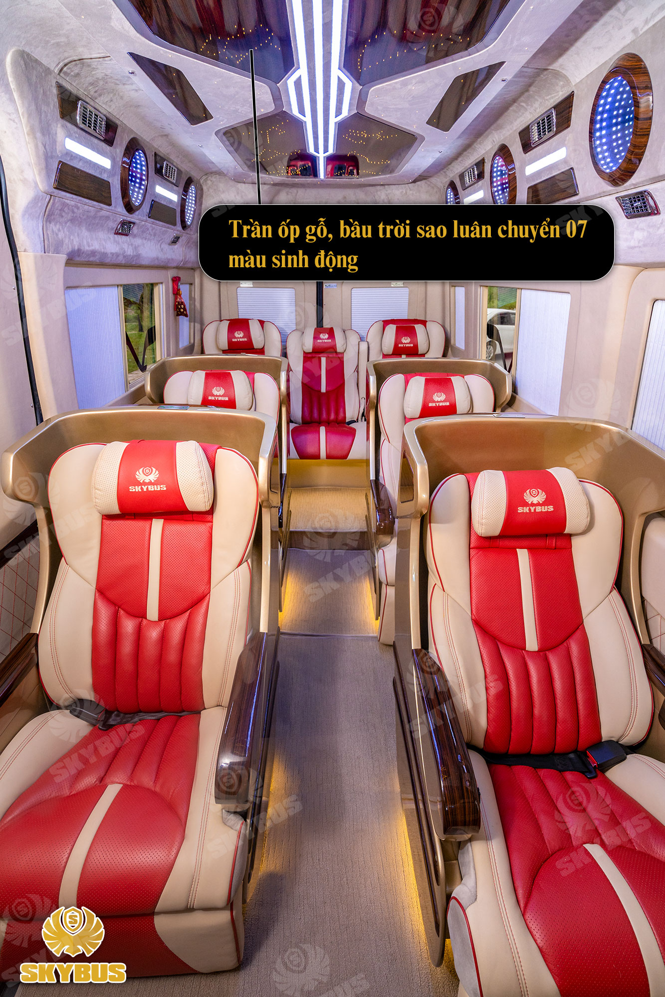 Skybus Limited - Solati Limosuine ghế VIP chỉnh điện 3